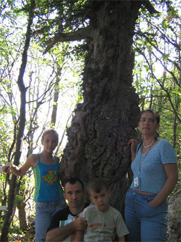 Вячеслав Яковишин