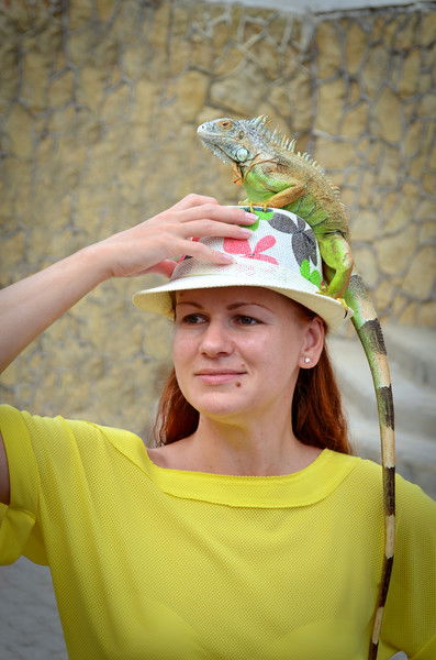 Eлена Яшина