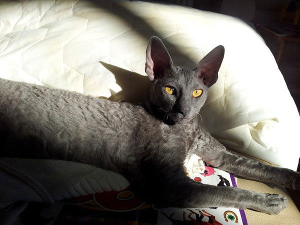 Руслан Литвинов