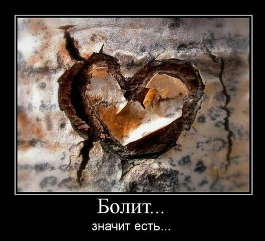 Вика Козырь