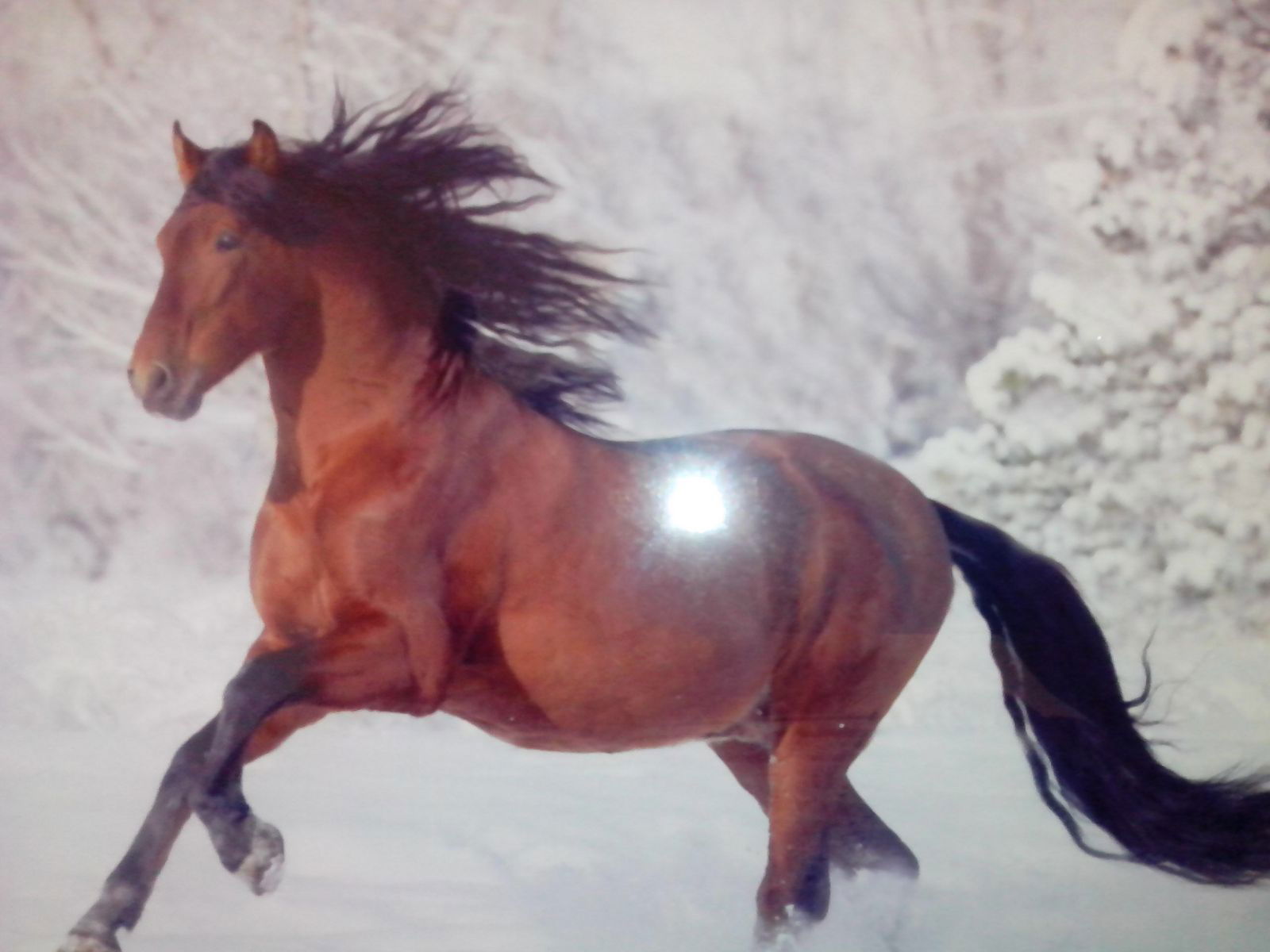 Татьяна Луцеева