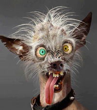 Андрей Павлюх