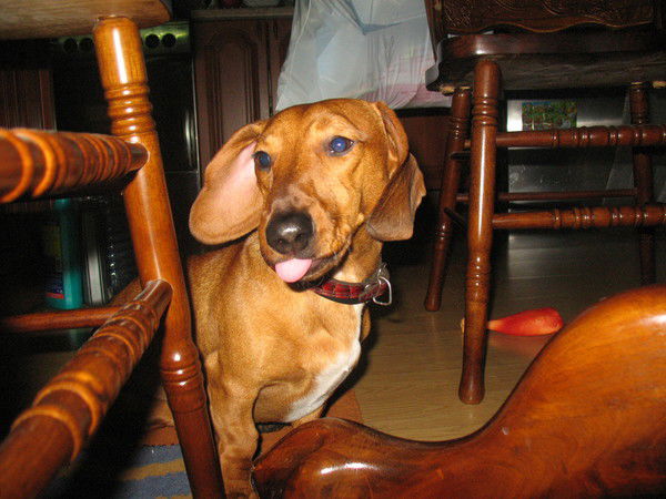 Виктор И Я Га