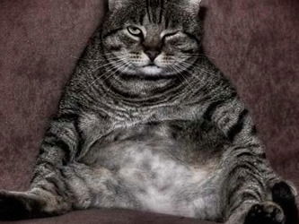 Натан Натаныч