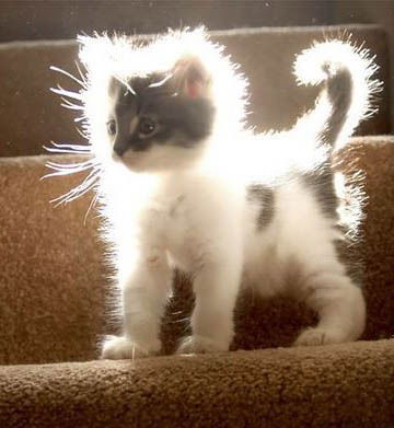 Екатерина Брунова