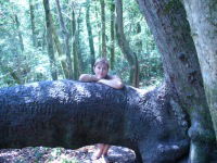 Алёна Червова