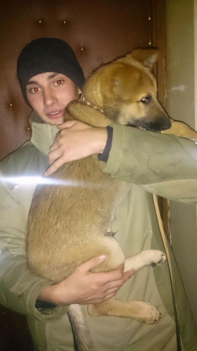 Нияз Габдулхаев