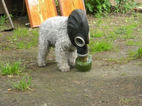 Валери Сидоренко