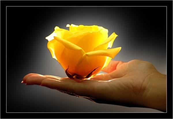 Марина Павловская