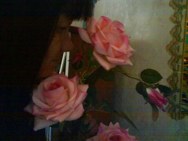 Наталья Сергеева