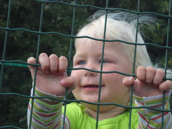 Неизвестно Неизвестно