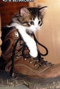 Вероника Лукьянова