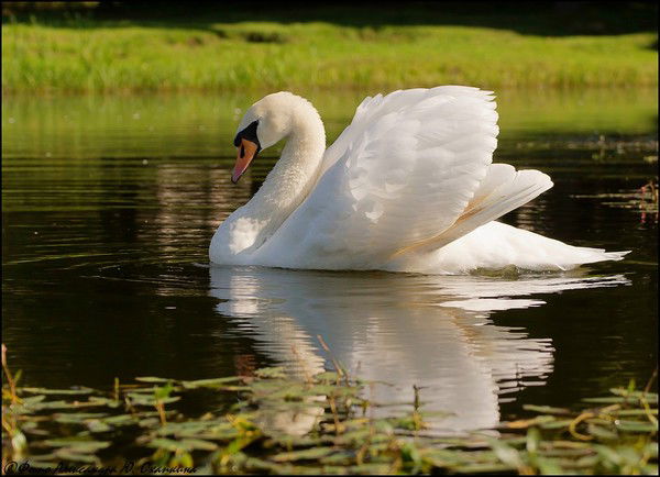 Ирина Кузнецова