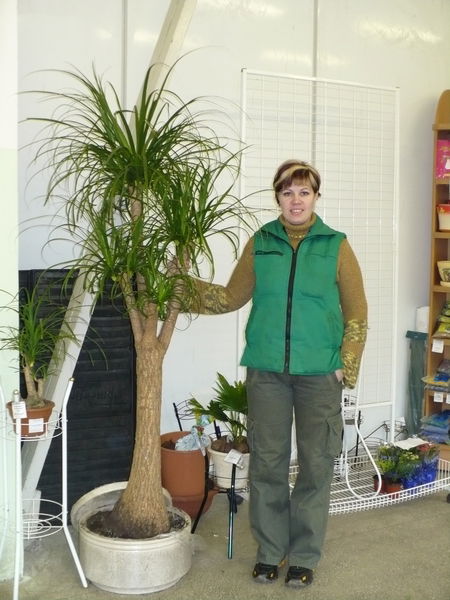 Александра Бондаренко