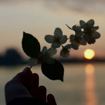 Юлия Вишневская