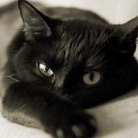 Елена Пушкарёва