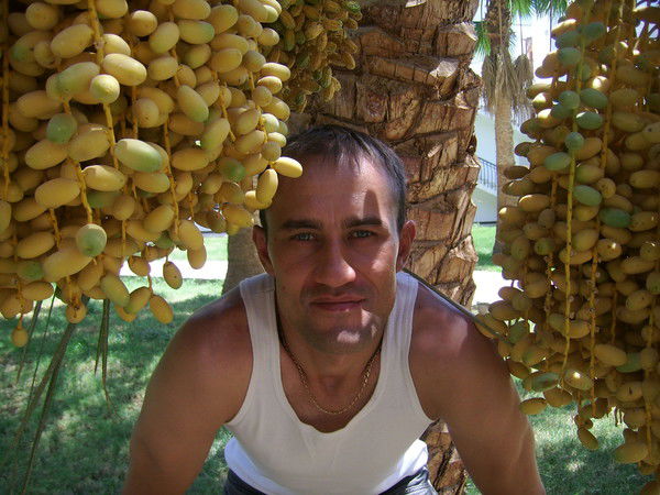 Анатолий Степанов