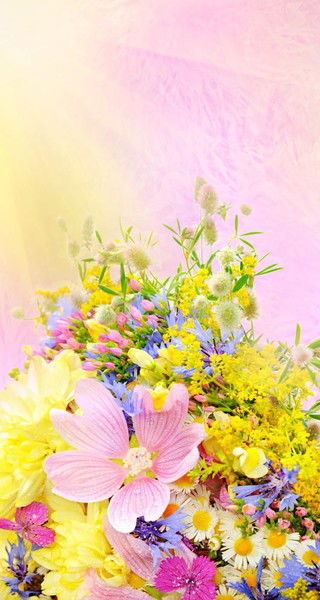 Алма Юсупова