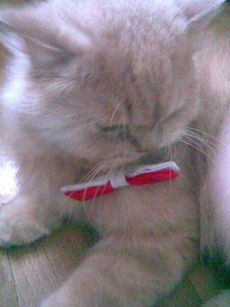 Александр Ищенко