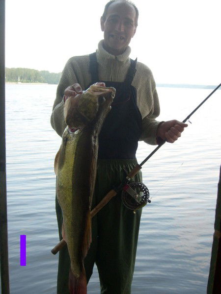 Владимир Рыболов