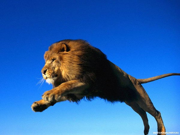 Артем Винокуров