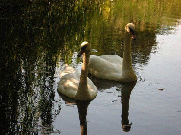 Ирина Юрьевна