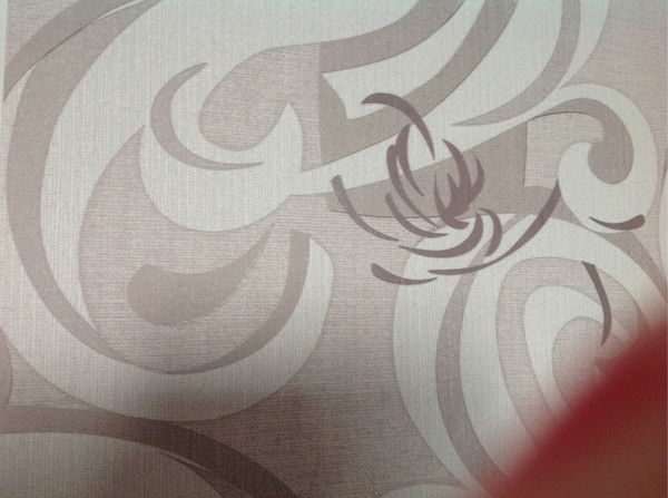 Ирина Лебедева