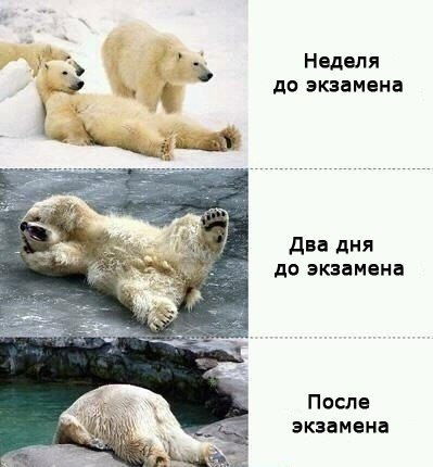 Кирилл Макарычев™