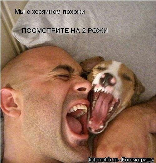 Виктор Викторов