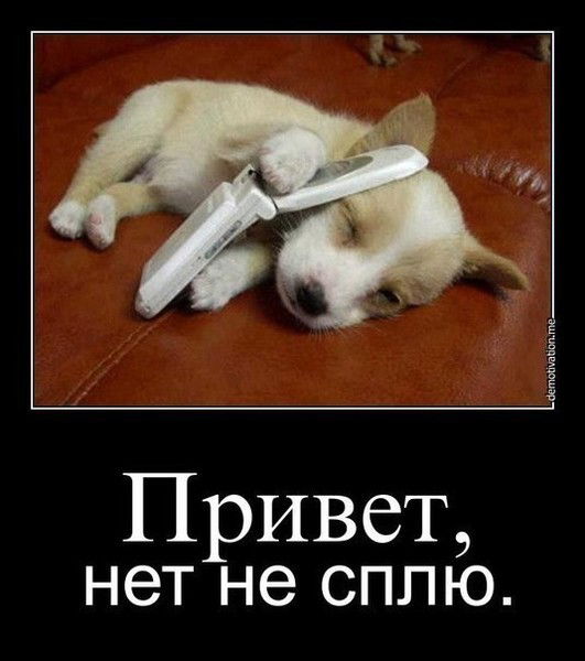 Алибек Болатович Турсынбаев