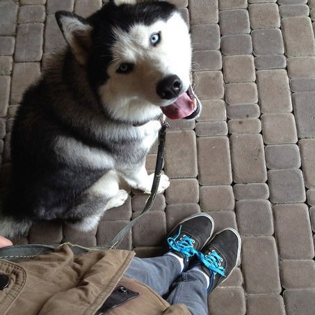 Александр Ксендзов