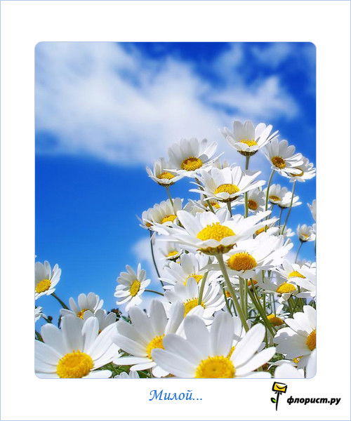 Наталья;-) ***