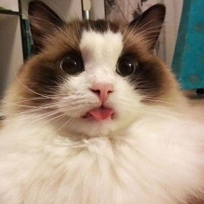 Юлия Коробченко