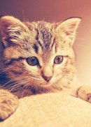 Виктория Сидоренко