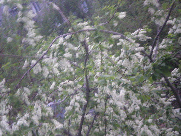 Татьяна Колбасинская