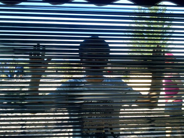 Ильгиз Тайиров