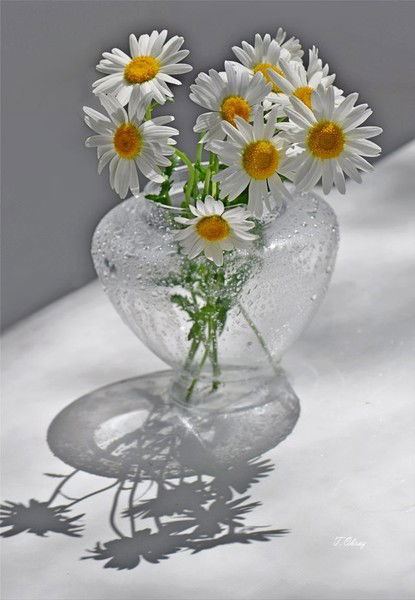 Татьяна Ларина