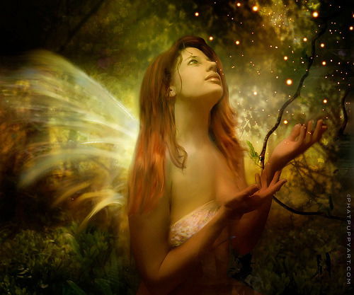 Елена Будкина