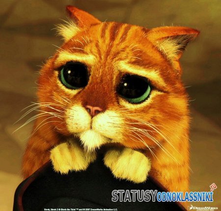 Женя Иванов