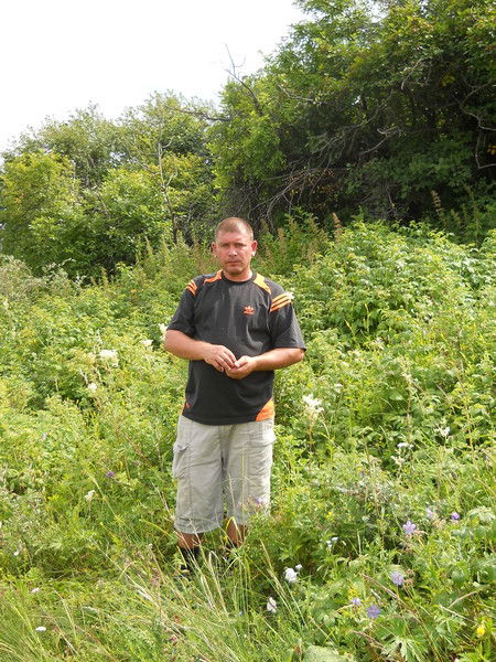 Алексей Евдокимов