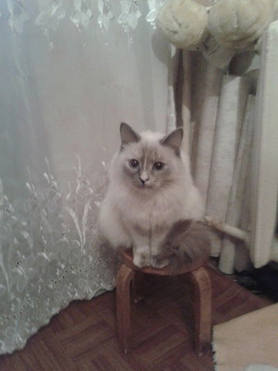 Татьяна Шатилова