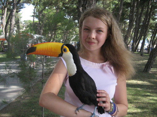 Неизвестно Неизвестно