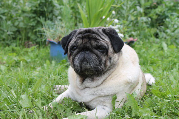 Константин Матюнин