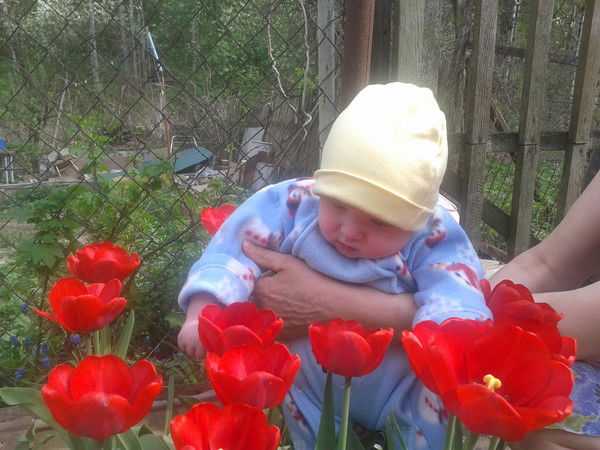 Елена Маркова