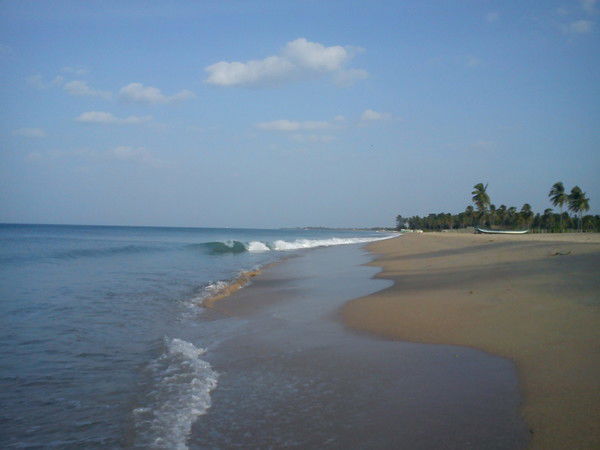 Тамара Ильичева