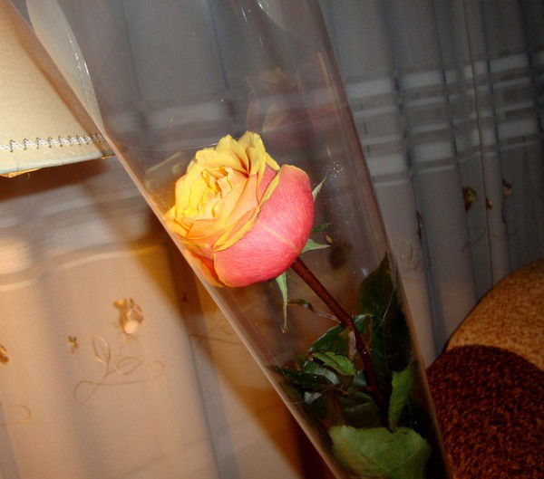 Ольга Резниченко