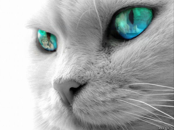 Андрей Миракин