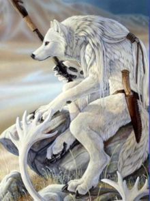 Николай Костаненко