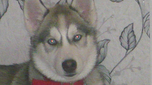 Вячеслав Чернов