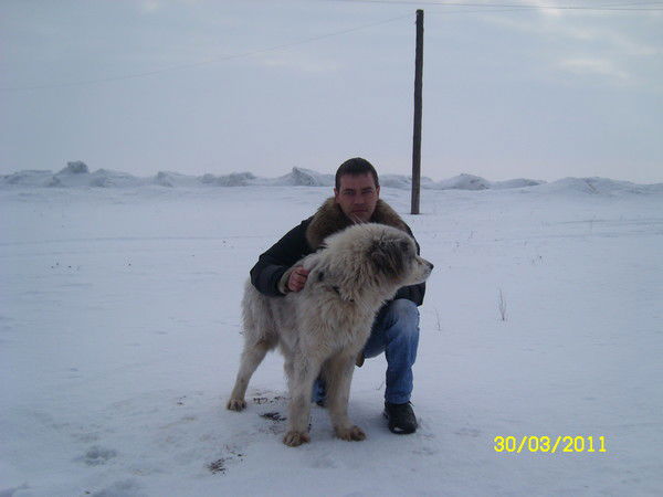 Сергей Чащин